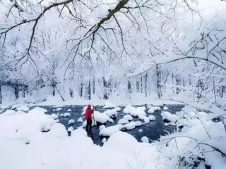 长春24小时，从晨雾到夜雪，一组天气预报里的城市呼吸