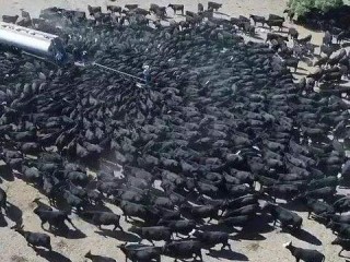 30天天气预报，是科学预言还是概率游戏？