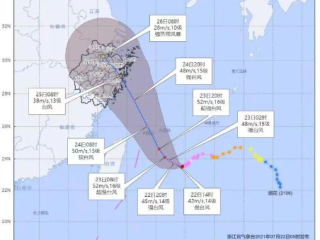 风起云涌间，守护一方安宁—读懂台风实时预报的力量