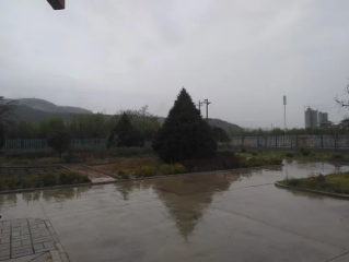 泾川的雨，总是来得刚好