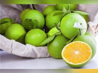 云南天气15天查询，掌握彩云之南的气候密码，助你规划完美旅程