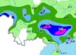 青岛明天的天气情况（青岛24号25号天气预报）
