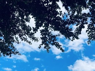 明日济南，晴空与浮云交织，气温回升宜出行