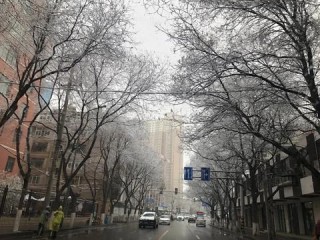 兰州40天天气趋势分析，季节交替中的气候密码