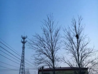 长垣天气预报，守护黄河畔的每一寸光阴