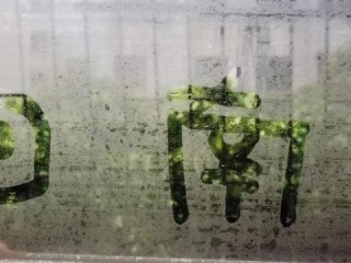 香港正挂牌板挂牌资料-广州天气30天预报，回南天与雷雨交织，未来一个月天气变化全解析
