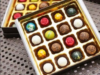 崇明日出，在天气预报里读懂一座岛的呼吸