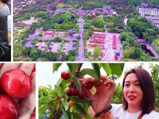 新泰天气预报，气候变迁下的城市生活指南