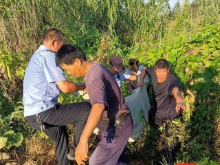 历史天气怎么查？手把手教你调取过去15天的精准数据