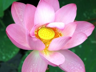 天下彩票免费资枓大全-哈尔滨未来15天天气预报，冰城冬春交替，气温波动明显，市民需注意防寒保暖