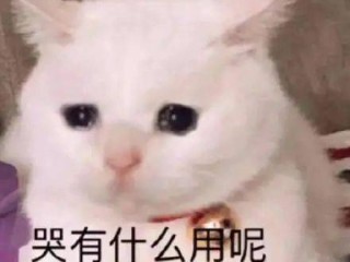 苏州天气预报30天准确吗？真相可能和你想的不一样