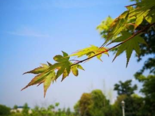 余干天气，四季轮转里的江南呼吸