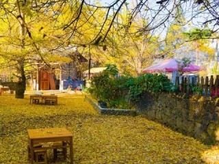 云南天气预报15天查询最新消息，春日暖阳与阵雨交织，出行需留意天气变化