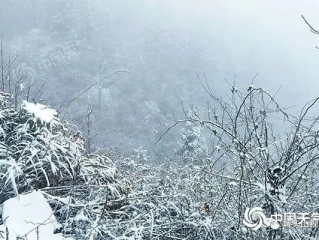 湖南多地将迎暴雪，银装素裹下的冷暖人间