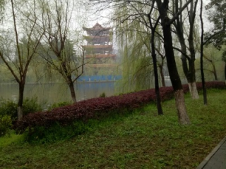 荆州天气预报，一江烟雨中的春秋变幻