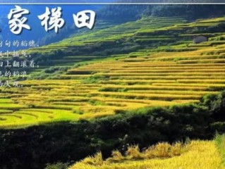 金多宝833933cm金多宝-桂林一月份气温多少度？冬日里的山水暖意