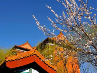 香河天气，小城四季的温柔呼吸