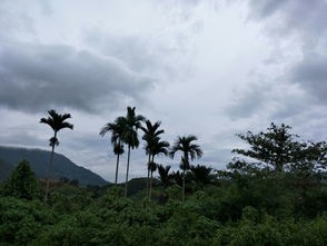 五指山天气，一日阅尽四季变幻