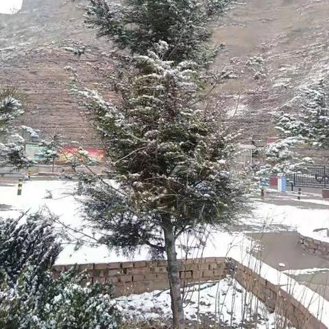 河北邢台天气(河北邢台天气预报30天查询结果) 河北邢台天气(河北邢台天气预报30天查询结果)