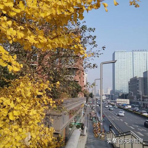 沁水十五天气预报15天（沁水十五天气预报15天查询）