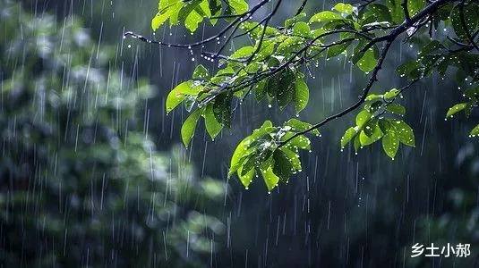雨何时来，何时去