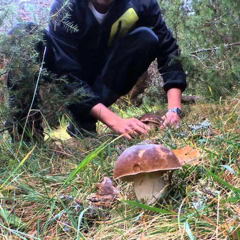河南未来15天天气，晴雨交替，冷暖起伏，请提前做好应对