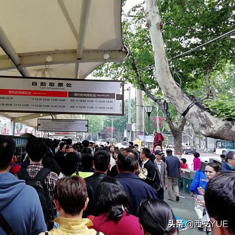 西安旅游必去景点推荐，穿越千年，感受古都魅力
