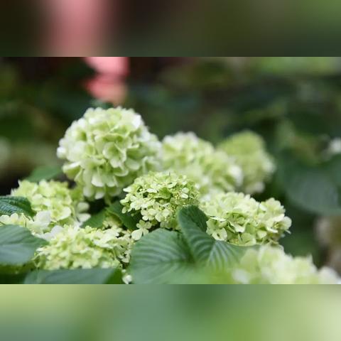 云南近10天天气,春日多变幻,冷暖交替需留意 云南近10天天气,春日多变幻,冷暖交替需留意