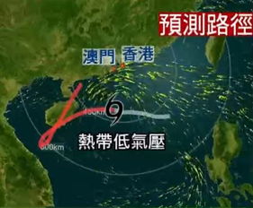 常德跑胡子免费下载-台风灿都猛烈爆发，狂风骤雨中的城市与人心