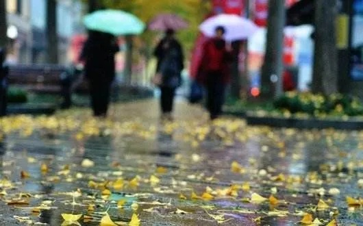 彩票365-苏州未来15天穿衣指南,从雨巷到艳阳,一衣穿遍江南春 彩票365-苏州未来15天穿衣指南,从雨巷到艳阳,一衣穿遍江南春