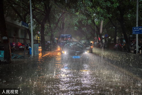 郑州特大暴雨,一座城市的坚韧与重生 郑州特大暴雨,一座城市的坚韧与重生