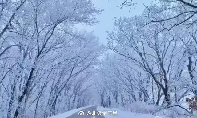 黑龙江天气,冬有严寒刺骨,夏有清凉宜人 黑龙江天气,冬有严寒刺骨,夏有清凉宜人