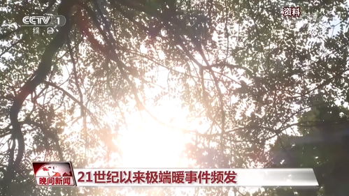 丰台天气，一场温柔的冷暖叙事