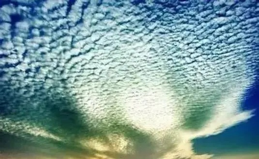 哪种预报天气最准？从看云识天到AI预测的终极真相