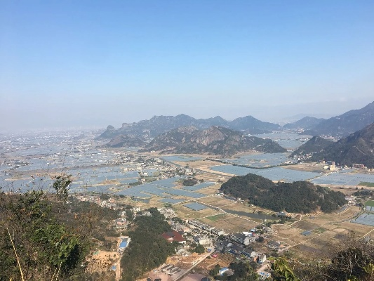 温州苍南天气预报，山海之间的气候密码与生活指南