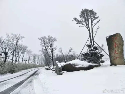 全国下雪实时查询,足不出户,看遍华夏雪景 全国下雪实时查询,足不出户,看遍华夏雪景
