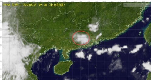 肇庆天气预报,四季轮转中的岭南诗意 肇庆天气预报,四季轮转中的岭南诗意