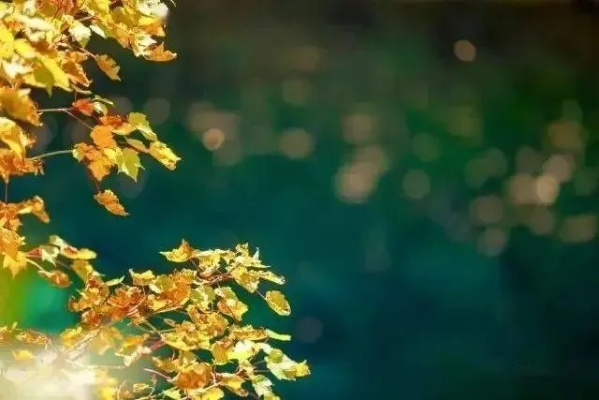 下周冷空气终于来了，秋天的仪式感总算补上了