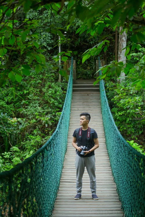 西双版纳旅游攻略，探秘热带雨林与傣族风情的终极指南