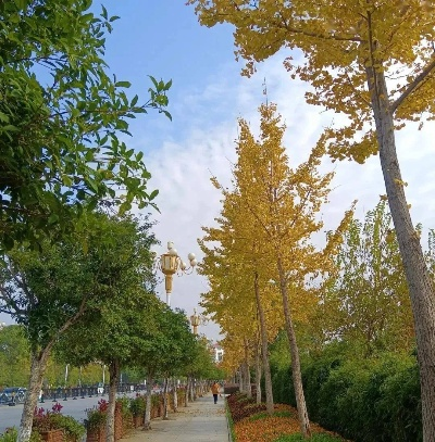 宜春天气，四季流转中的温润诗意