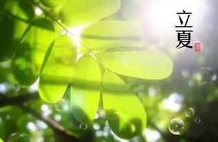 广西桂林天气预报7天,春意渐浓,出行需留意天气变化 广西桂林天气预报7天,春意渐浓,出行需留意天气变化