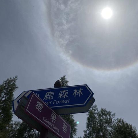 郑州未来15天天气预报，晴热开场，中下旬迎来降雨转折
