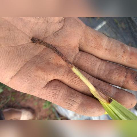 今年雨水情况怎样,从南涝北旱到极端频发,气候变局下的生存思考 今年雨水情况怎样,从南涝北旱到极端频发,气候变局下的生存思考