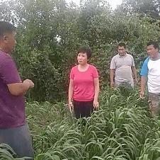 庆云天气预报，守护每一日的生活节奏