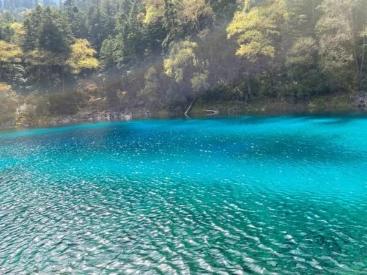 四川九寨沟天气预报15天查询,出行前必看的实用指南 四川九寨沟天气预报15天查询,出行前必看的实用指南