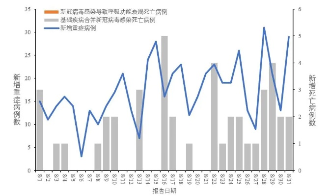 2023年8月新冠疫情，常态中的坚守与思考