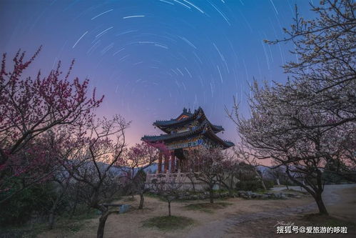 湖州明天天气,晴暖依旧,适宜出行 湖州明天天气,晴暖依旧,适宜出行